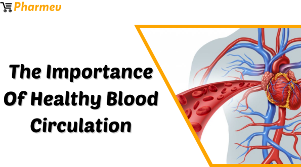 The Importance of Healthy Blood Circulation
