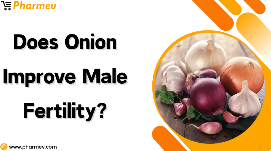 Does Onion Improve Male Fertility?