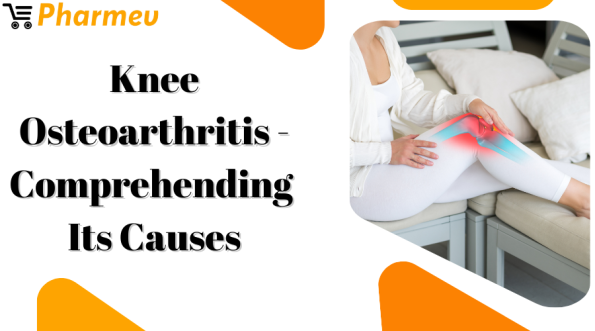 Knee Osteoarthritis - Comprehending Its Causes