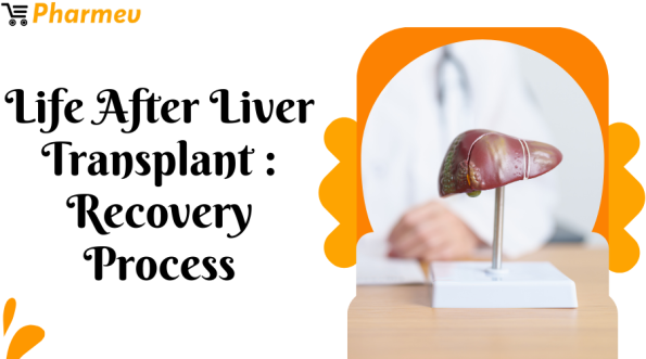 Life After Liver Transplant Recovery Process