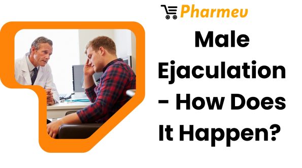 Male Ejaculation - How Does It Happen?