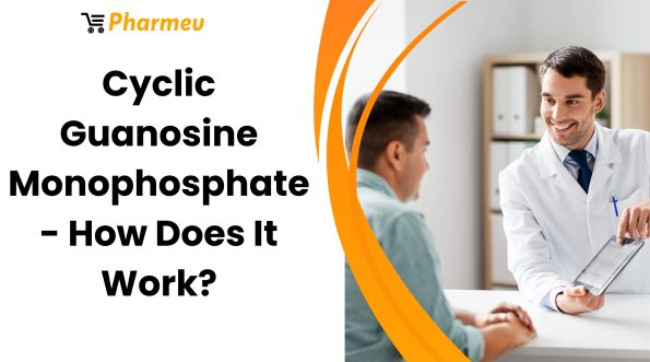 Cyclic Guanosine Monophosphate - How Does It Work?